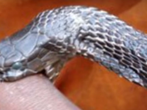 2015 ರಲ್ಲಿ