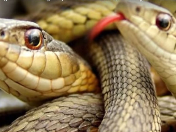 ವಿಮಾನ ನಿಲ್ದಾಣ