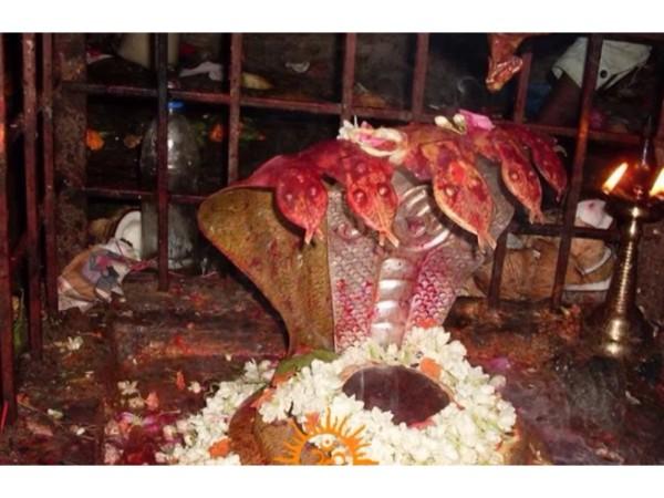 ಲಿಂಗಮಯ್ಯ ಸ್ವಾಮಿ