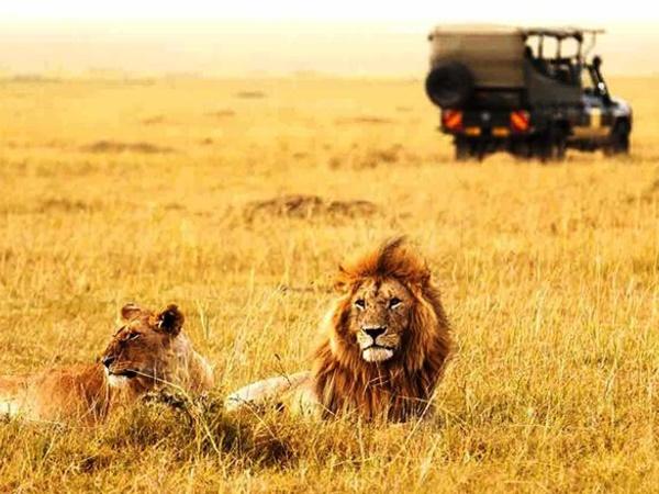 ಸಮೀಪದ ನಗರಗಳು