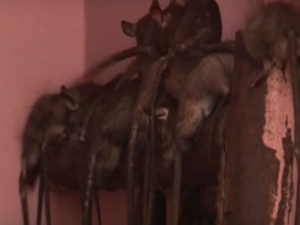 ಜಾನಪದ ಕಥೆ