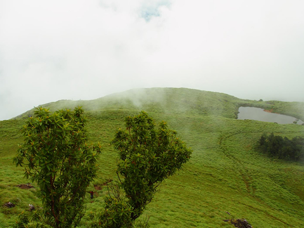 ಚೆ೦ಬ್ರಾ ಶಿಖರ (Chembra Peak)