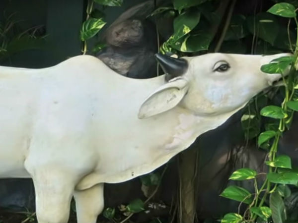 ವಿಷ್ಣು ಮೂರ್ತಿ