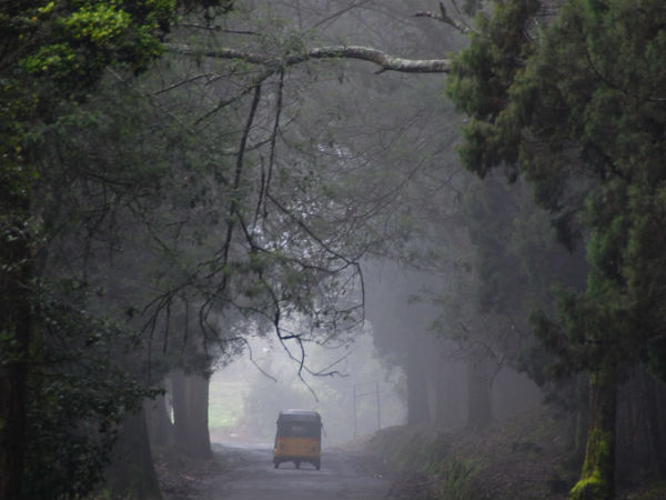 ದೊಡ್ಡಬೆಟ್ಟ ಪೀಕ್