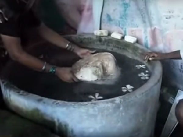 15 ಕೆ.ಜಿ ಇರುವ ಕಲ್ಲು