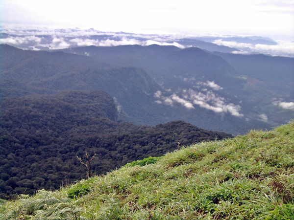 ಕೊಡಚಾದ್ರಿ ಕೊಡಚಾದ್ರಿ