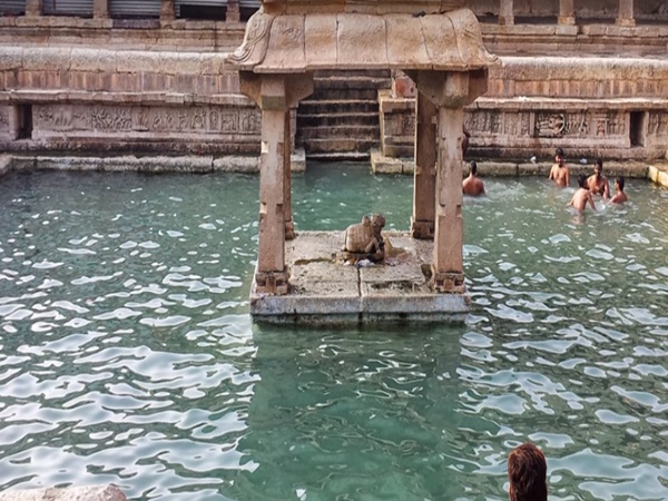 ಔಷಧಗುಣಗಳು