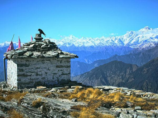 ಮಿನಿ ಸ್ವಿಜರ್ ಲ್ಯಾಂಡ್
