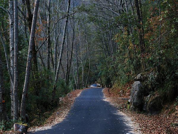 ರಸ್ತೆ ಮಾರ್ಗ