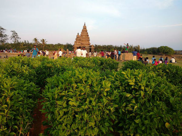 ಮಹಾಬಲೀಪುರಂ