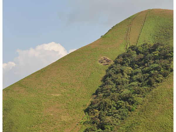 ಬ್ರಹ್ಮಗಿರಿ ಪೀಕ್