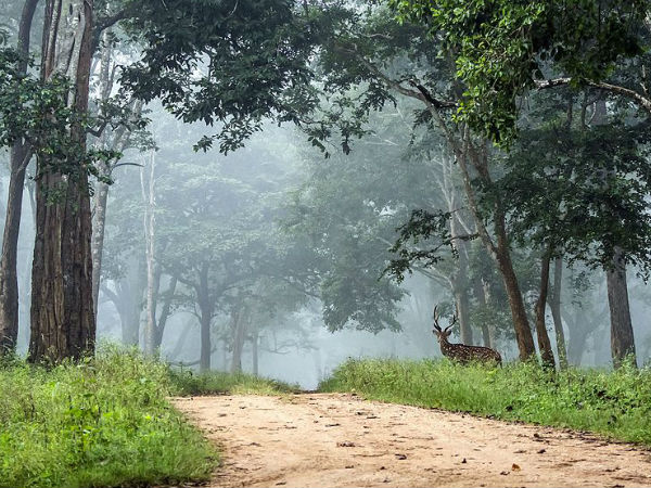 ಸೂಕ್ತವಾದ ಕಾಲಾವಧಿ