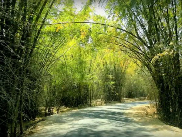 ಎಲ್ಲಿದೆ?