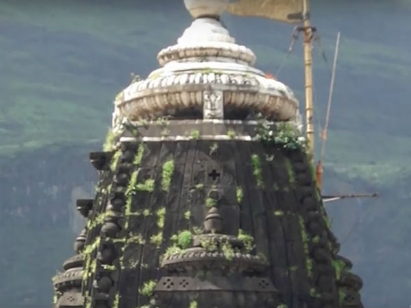 ಯಾವಾಗ ಅಲಂಕರಿಸುತ್ತಾರೆ. ಯಾವಾಗ ಅಲಂಕರಿಸುತ್ತಾರೆ.