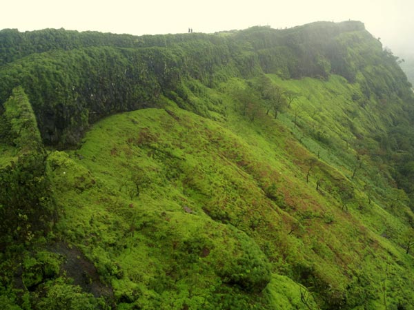 5. ಪಶ್ಚಿಮ ಘಟ್ಟಗಳ ದಟ್ಟ ಅರಣ್ಯಗಳಲ್ಲಿ 