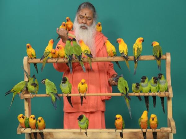 ವೈದ್ಯ ಸಿಬ್ಬಂದಿ 