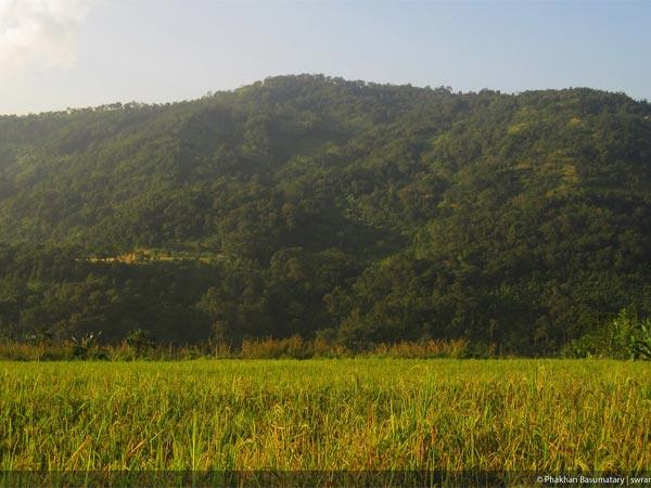ಹಾಫ್ಲೊಂಗ್