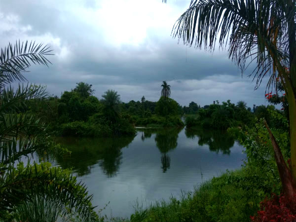 Bangalore lakes