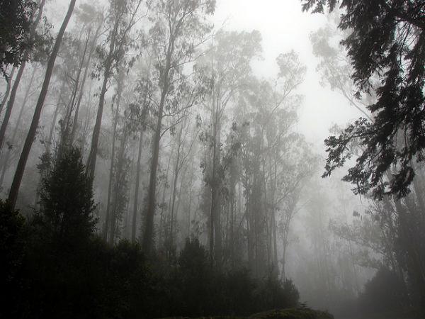  ದೊಡ್ಡ ಬೆಟ್ಟ