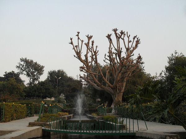 ಬಾಗ್-ಎ-ಬಹು ಅಕ್ವೇರಿಯಂ