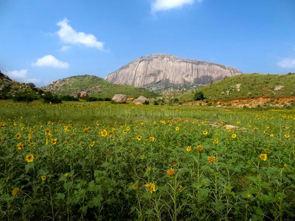 9. ಮಧುಗಿರಿ 