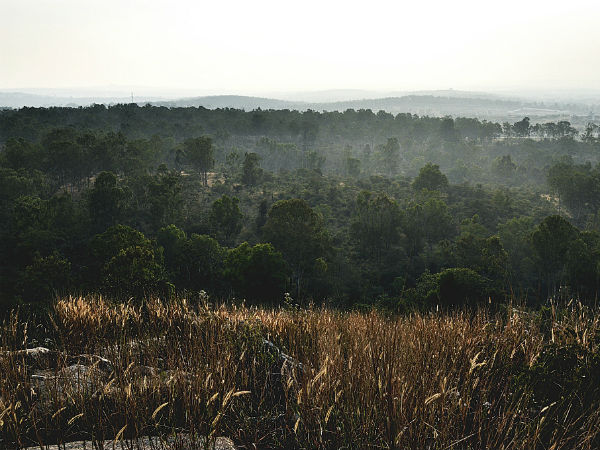 22. ತುರಹಳ್ಳಿ ಅರಣ್ಯ