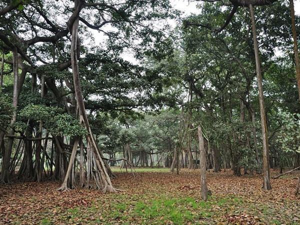 ಮೂಲ ತಿಳಿಯದು ಮೂಲ ತಿಳಿಯದು