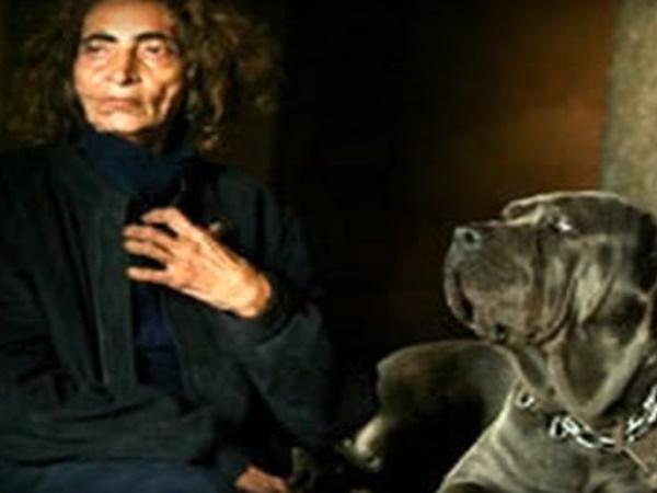 ಭಯಾನಕ ಮಹಲ್