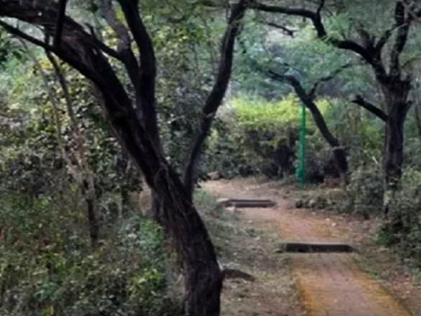 ಭಯಾನಕ ಮಹಲ್