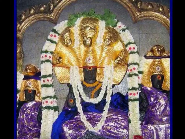 ಸರ್ಪದೋಷ ಹಾಗು ಮೂರ್ಛೆ ರೋಗ