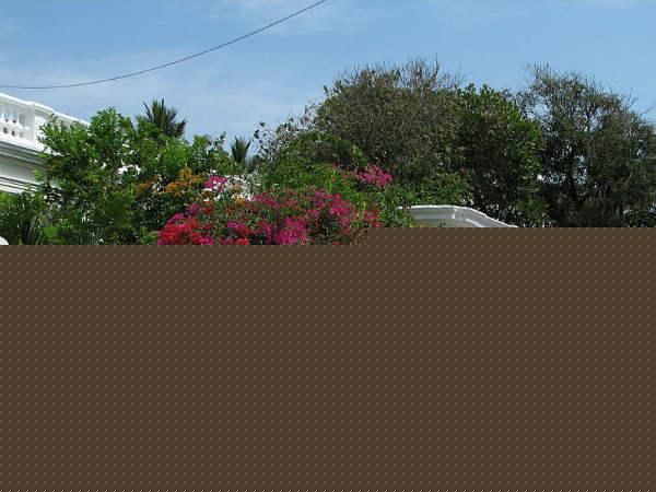 ಪಾಂಡಿಚೇರಿ ಫ್ರೆಂಚ್ ಕಾಲೋನಿ