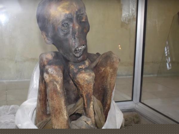 19.ಮಿಸ್ಟರಿ ಮಮ್ಮಿ 