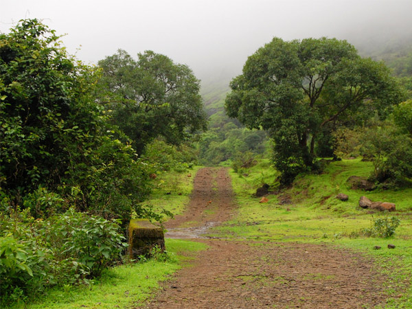 ಲೊನಾವಾಲಾದ ಮೂಲಕ ಚಾರಣ ಲೊನಾವಾಲಾದ ಮೂಲಕ ಚಾರಣ
