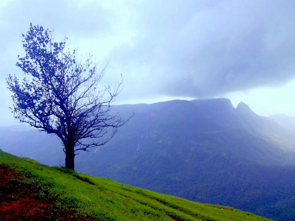 ಒನ್ ಟ್ರೀ ಹಿಲ್ ಪಾಯಿ೦ಟ್