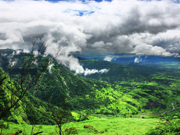 ಲೂಯಿಸಾ ಪಾಯಿ೦ಟ್