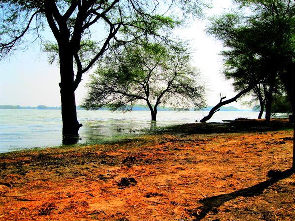 ಥೋಲ್ ಸರೋವರ