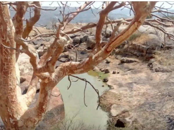 ಪದ್ಮವ್ಯೂಹವನ್ನು ಹಾಗು ಗುಪ್ತನಿಧಿಯನ್ನು ಹೊಂದಿರುವ ಅದ್ಭುತವಾದ ಕೋಟೆ ಇದು....