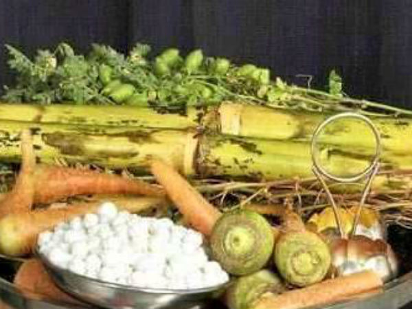 ಮಕರ ಸಂಕ್ರಾತಿ ಹಬ್ಬದಂದು ಎಲ್ಲಿ, ಹೇಗೆ ಆಚರಿಸುತ್ತಾರೆ ಗೊತ್ತ? ಮಕರ ಸಂಕ್ರಾತಿ ಹಬ್ಬದಂದು ಎಲ್ಲಿ, ಹೇಗೆ ಆಚರಿಸುತ್ತಾರೆ ಗೊತ್ತ?
