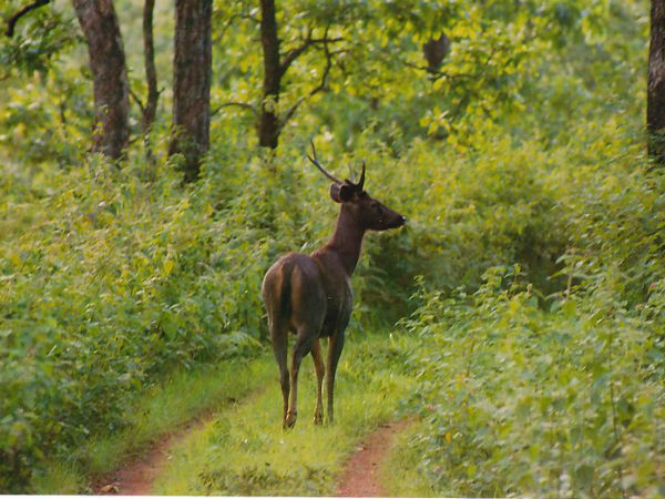 ವಾರಾಂತ್ಯಕ್ಕೆ ಅದ್ಭುತವಾದ ತಾಣಗಳು ಇವು...