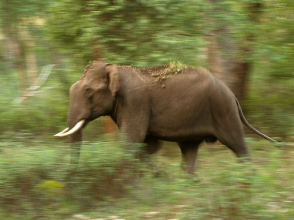 ವಾರಾಂತ್ಯಕ್ಕೆ ಅದ್ಭುತವಾದ ತಾಣಗಳು ಇವು...