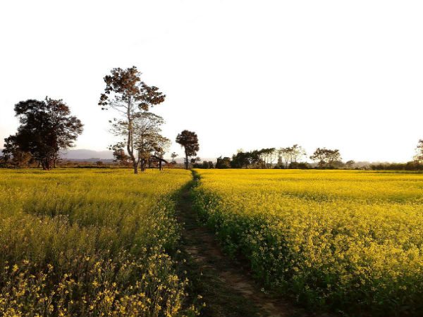 ನಮೇರಿ ಅಭಯಾರಣ್ಯ ನಮೇರಿ ಅಭಯಾರಣ್ಯ