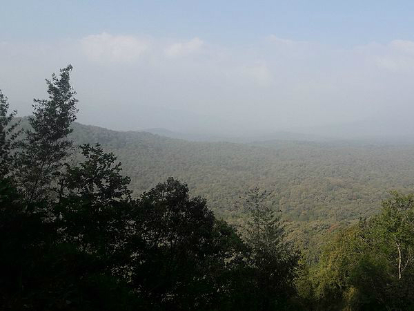 ಅನಮುಡಿ ಶೋಲಾ ಅಭಯಾರಣ್ಯ