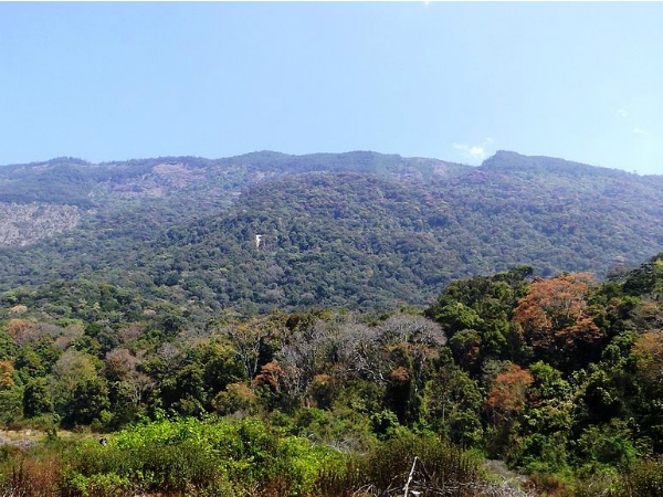 ಪ೦ಪಾಡುಮ್ ಶೋಲಾ ಅಭಯಾರಣ್ಯ