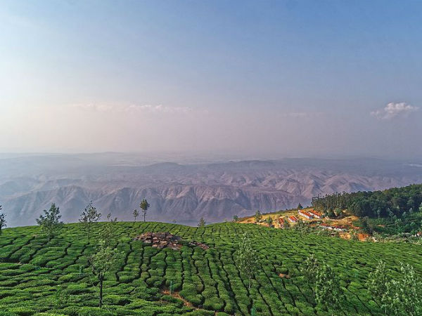 ಕೋಟಗಿರಿ
