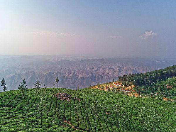 1.ಕೊಡನಾಡ್