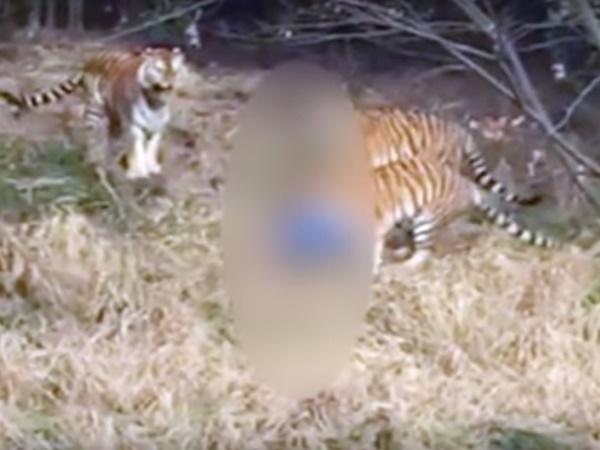 10.ಇವರ ಪೋಷಣೆಯ ಭಾರ