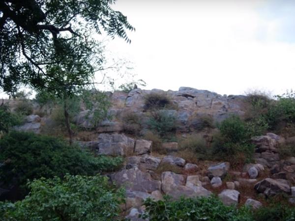 11.ದಿನದಿಂದ ದಿನಕ್ಕೆ ಕ್ಷೀಣಿಸುತ್ತಿರುವ ಗೋವರ್ಧನ ಗಿರಿಯೇ ಕಲಿಯುಗ ಅಂತ್ಯಕ್ಕೆ ಕಾರಣನಾ? 11.ದಿನದಿಂದ ದಿನಕ್ಕೆ ಕ್ಷೀಣಿಸುತ್ತಿರುವ ಗೋವರ್ಧನ ಗಿರಿಯೇ ಕಲಿಯುಗ ಅಂತ್ಯಕ್ಕೆ ಕಾರಣನಾ?