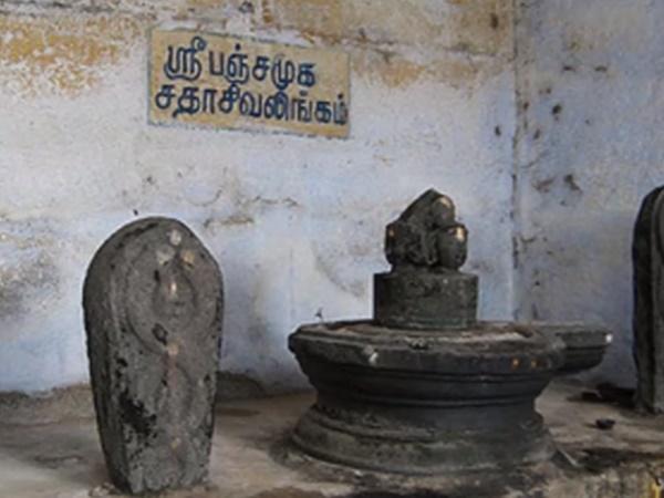 12.ರುದ್ರಾಕ್ಷಿಯನ್ನು ಸಹಜವಾಗಿ ಗರ್ಭಗುಡಿಯಲ್ಲಿ ಏರ್ಪಾಟು ಮಾಡುವುದು ನಡೆಯಿತು