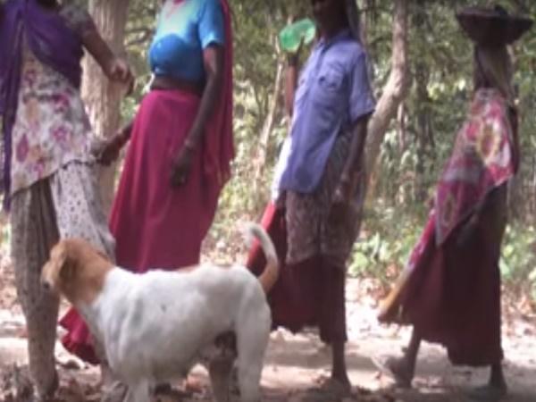 12.ಹೀಗೆ ಏಕೆ ಮಾಡುತ್ತಿದ್ದಾರೆ?