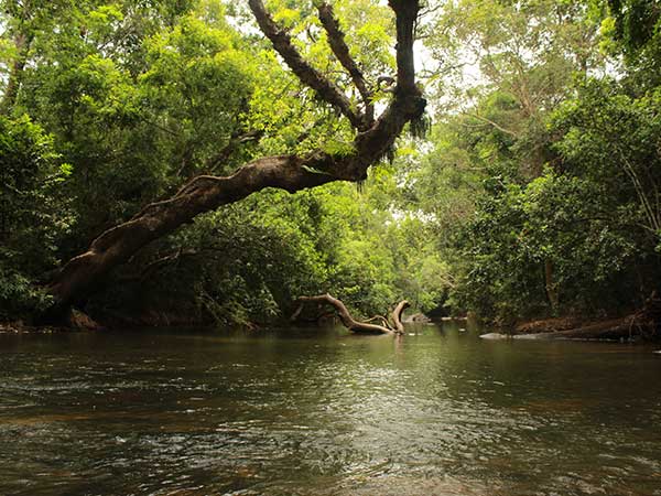 ಕಾವೇರಿ ನಿಸರ್ಗಧಾಮ